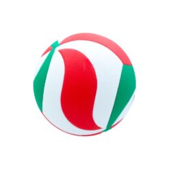 Alternative view of Balon de Voleibol Molten Laminado V5M4200